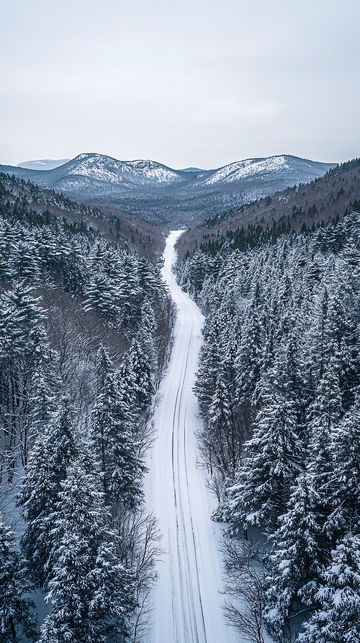 雪景公路
