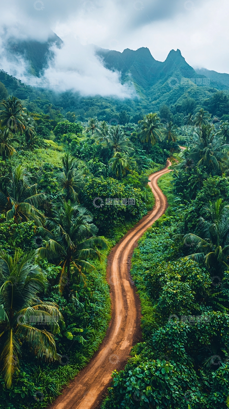 高清大图下载【趣麦麦图】蜿蜒山路穿梭热带雨林