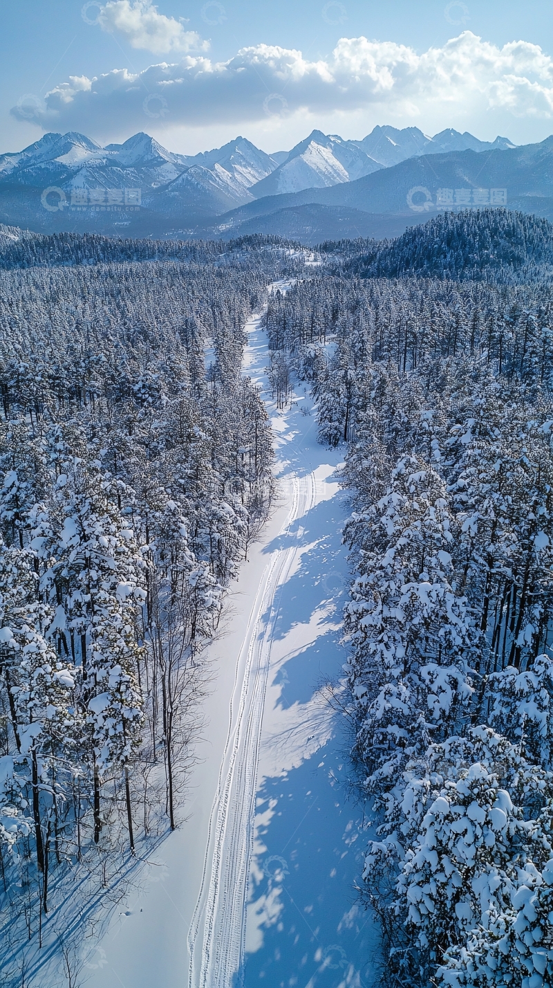 高清大图下载【趣麦麦图】雪覆盖森林通向远山