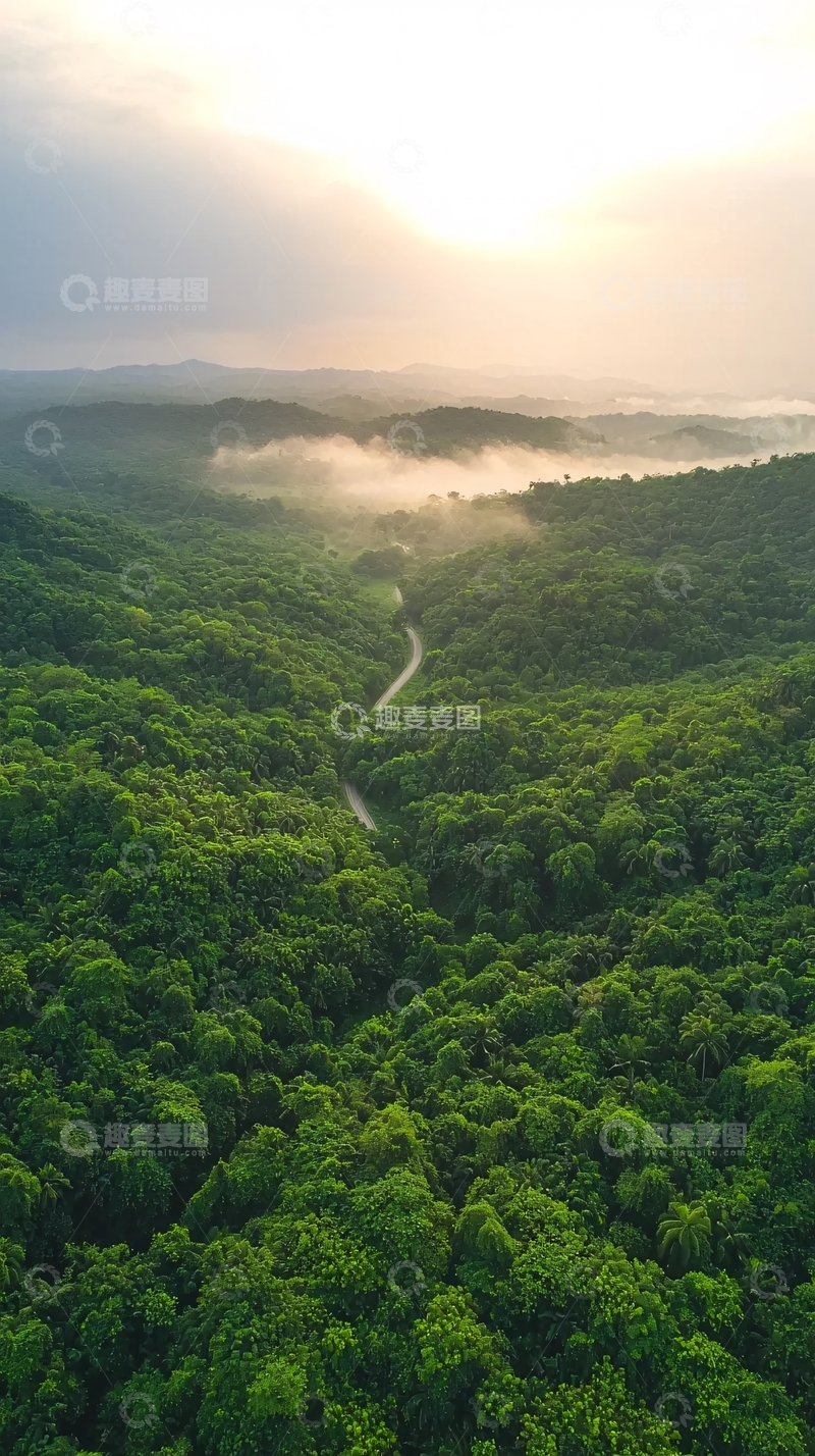 高清大图下载【趣麦麦图】绿色森林中蜿蜒小路