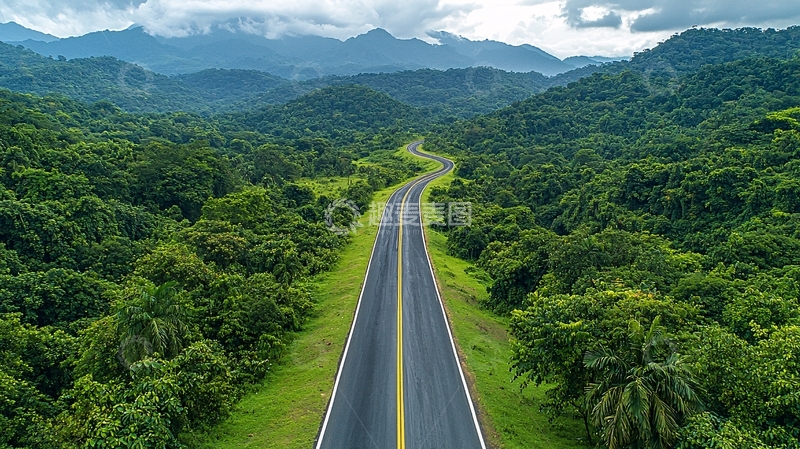 高清大图下载【趣麦麦图】绿色森林中的道路