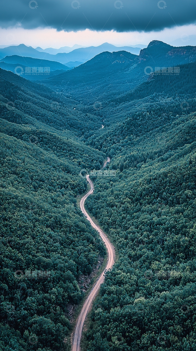 高清大图下载【趣麦麦图】蜿蜒山路穿梭在翠绿森林间