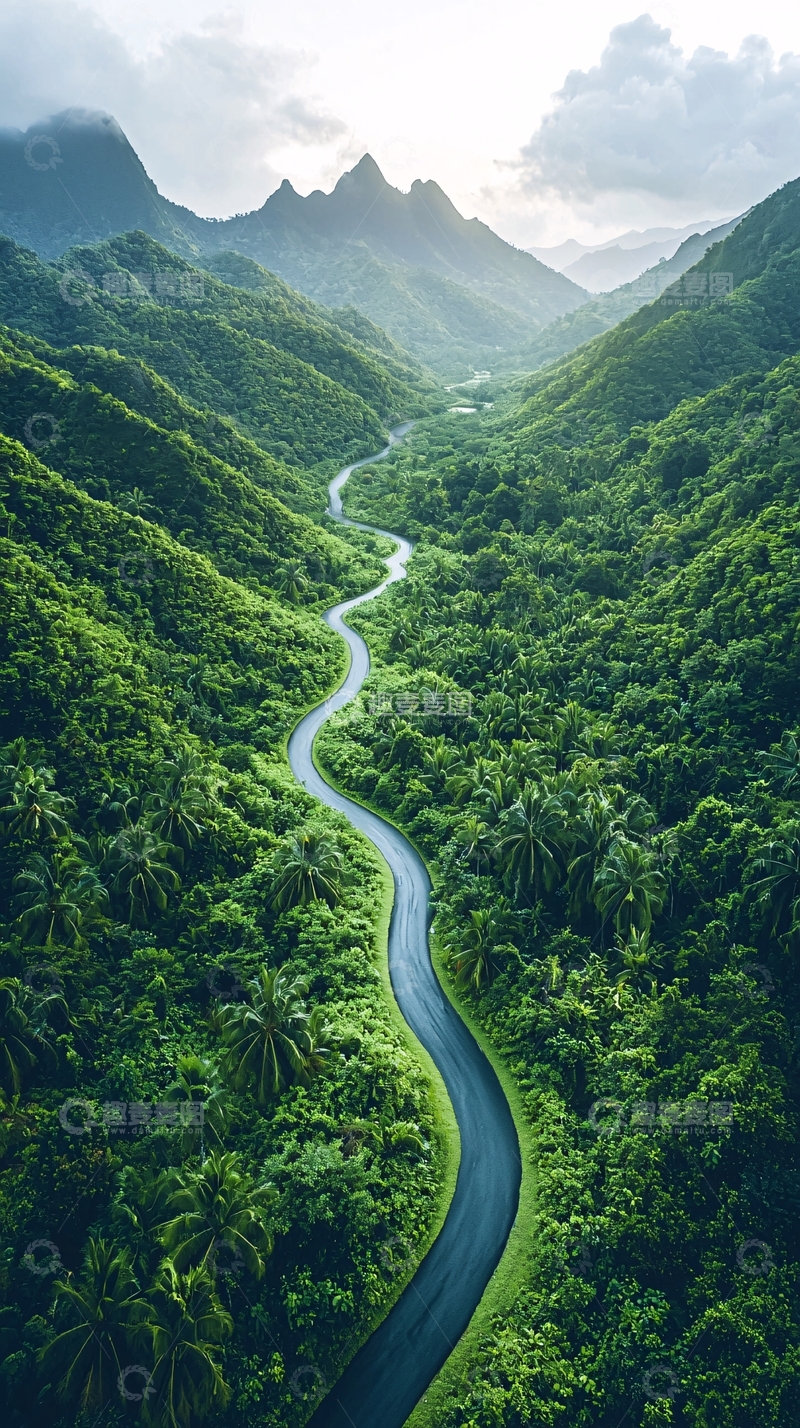 高清大图下载【趣麦麦图】蜿蜒山路穿梭在茂密森林中