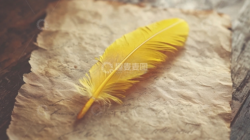 高清大图下载【趣麦麦图】老旧纸张上的黄色羽毛