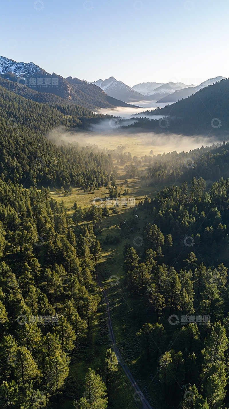 高清大图下载【趣麦麦图】山间雾气缭绕的森林
