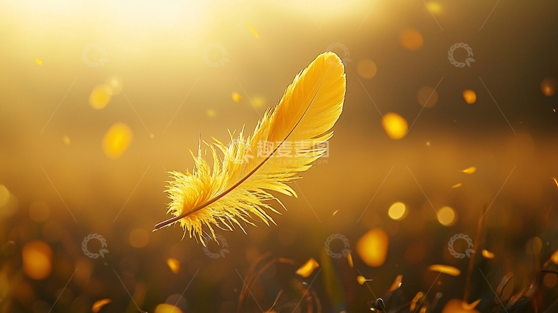 高清大图下载【趣麦麦图】金色羽毛