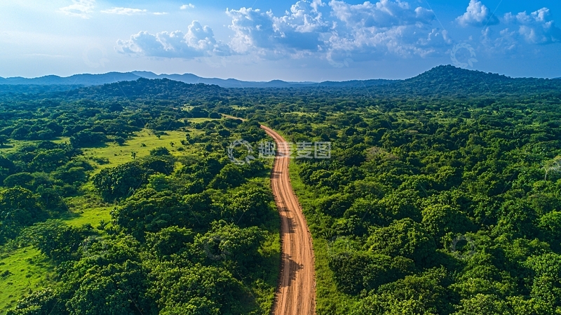 高清大图下载【趣麦麦图】绿色森林中的泥路