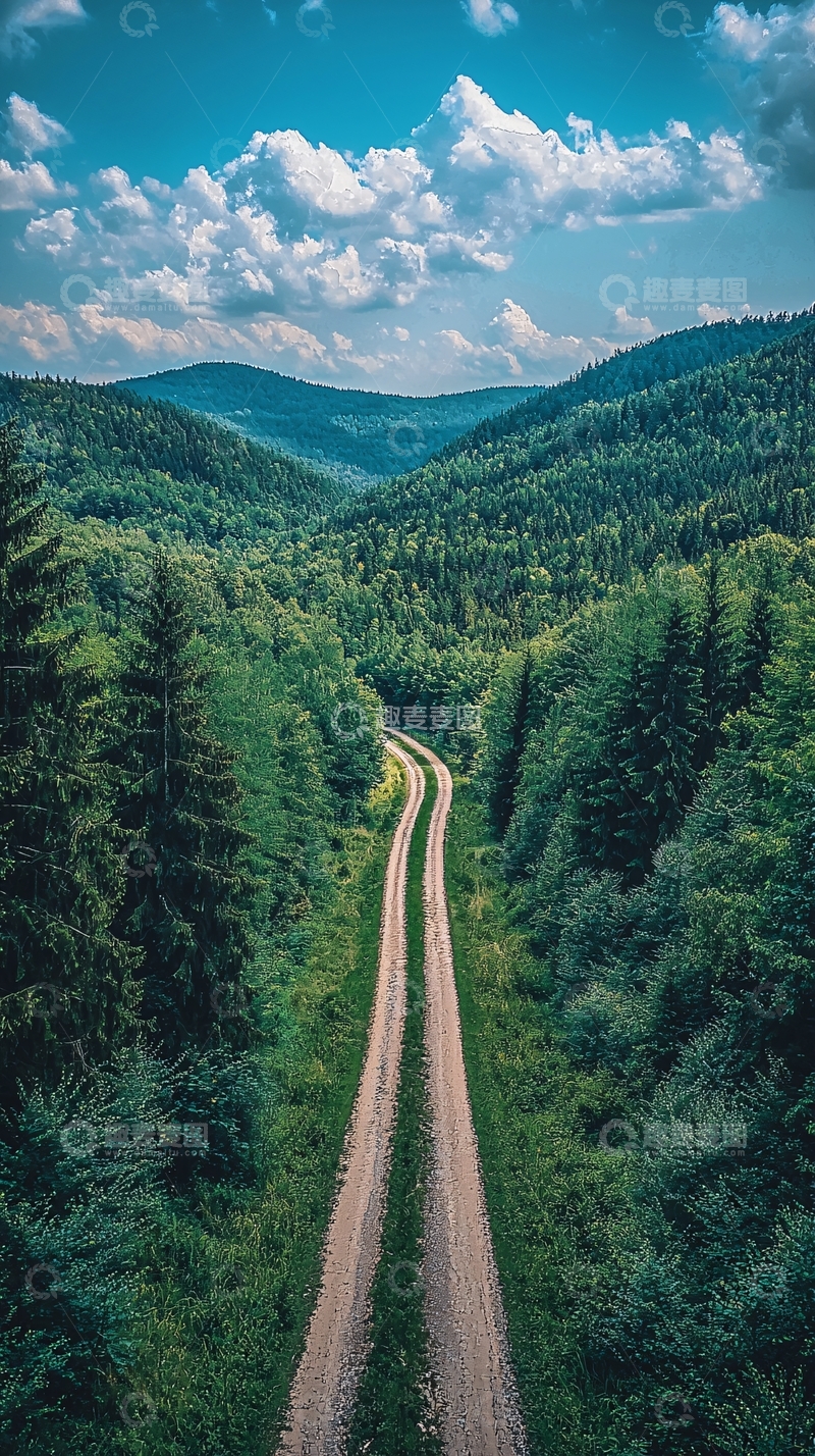 高清大图下载【趣麦麦图】森林中的蜿蜒小路