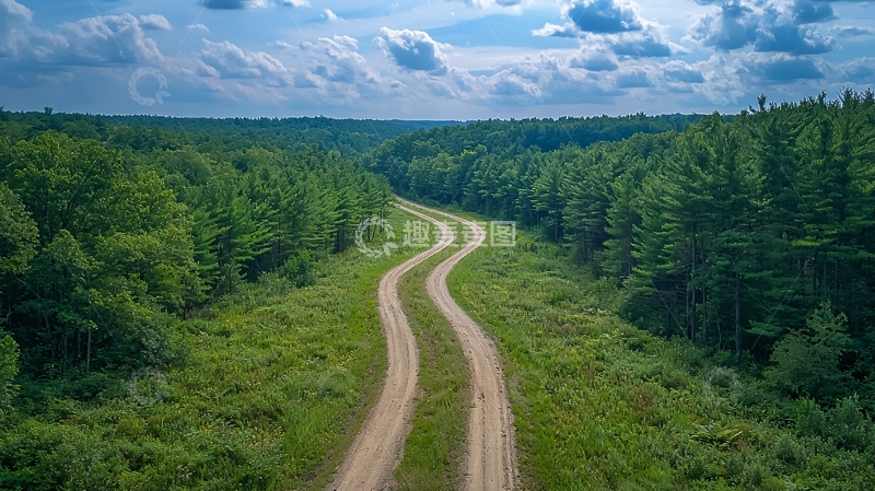 高清大图下载【趣麦麦图】蜿蜒土路森林公路