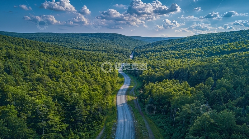 高清大图下载【趣麦麦图】绿树环绕的公路
