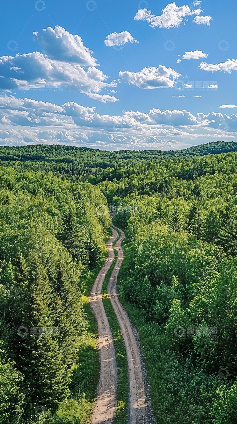 高清大图下载【趣麦麦图】森林中的蜿蜒小路