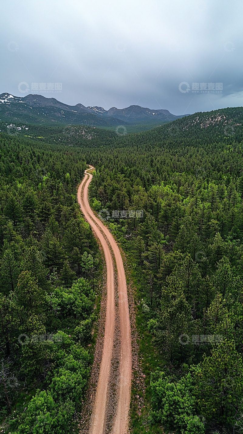 高清大图下载【趣麦麦图】蜿蜒山路森林公路