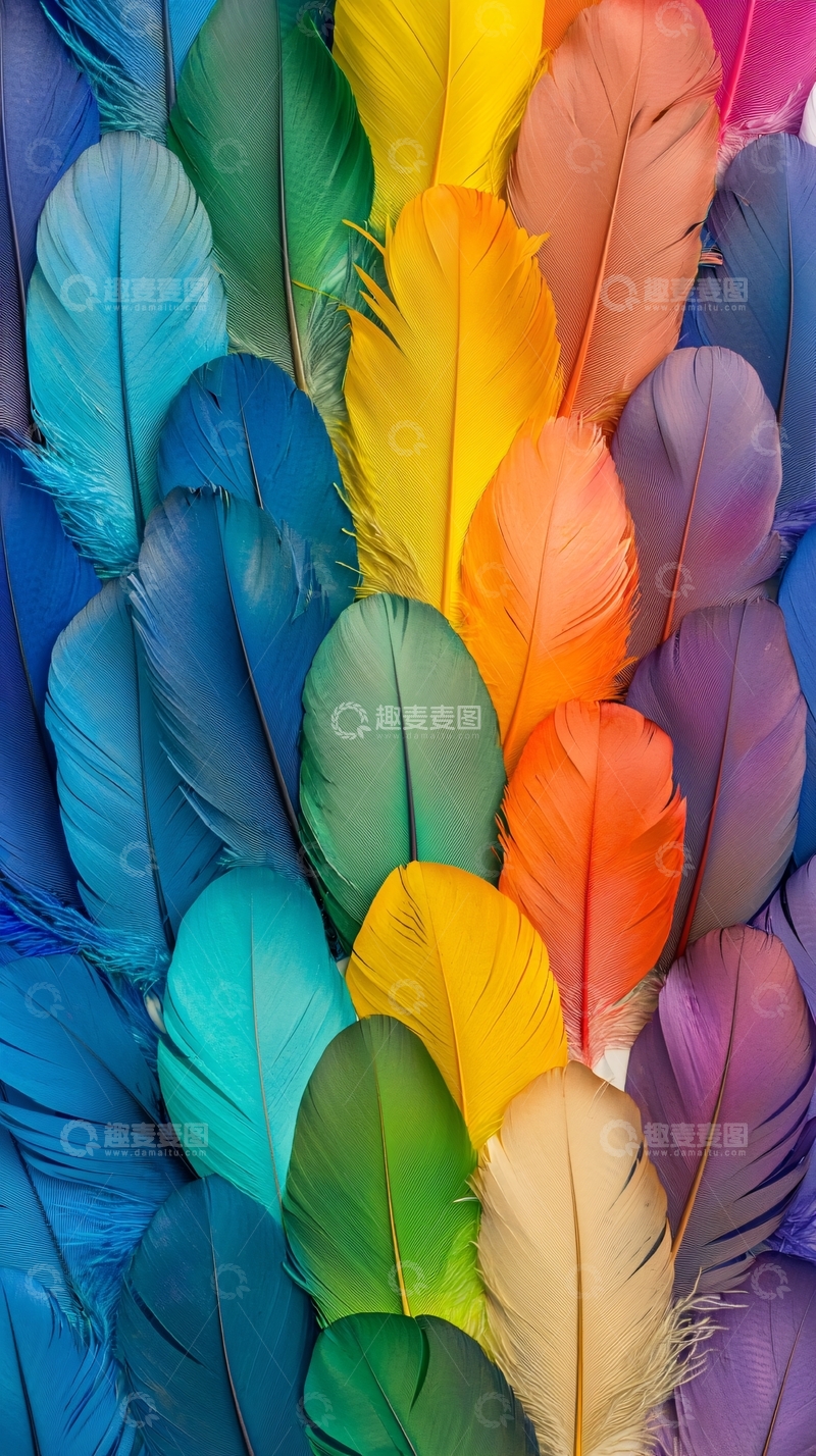 高清大图下载【趣麦麦图】五彩斑斓羽毛
