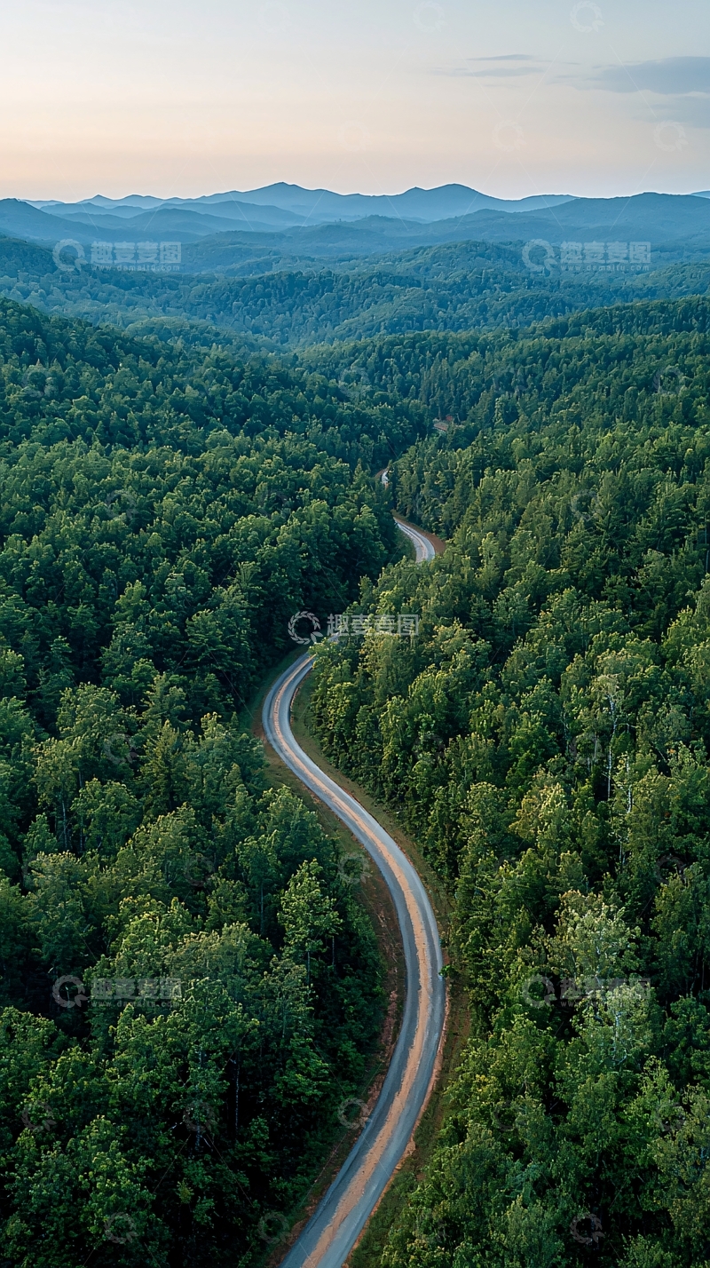 高清大图下载【趣麦麦图】蜿蜒道路穿过茂密森林