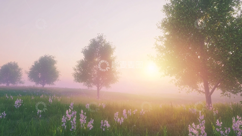 高清大图下载【趣麦麦图】清晨薄雾田园风光