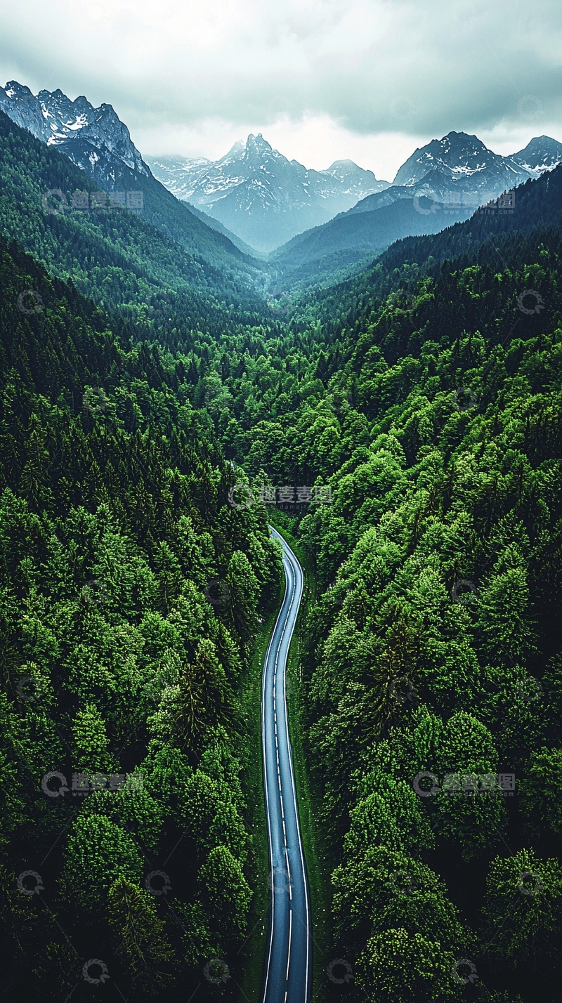 高清大图下载【趣麦麦图】蜿蜒山路穿梭在绿色森林中