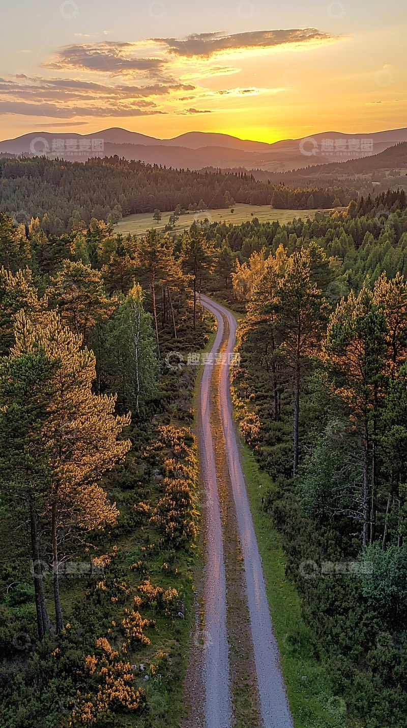 高清大图下载【趣麦麦图】森林道路日落美景
