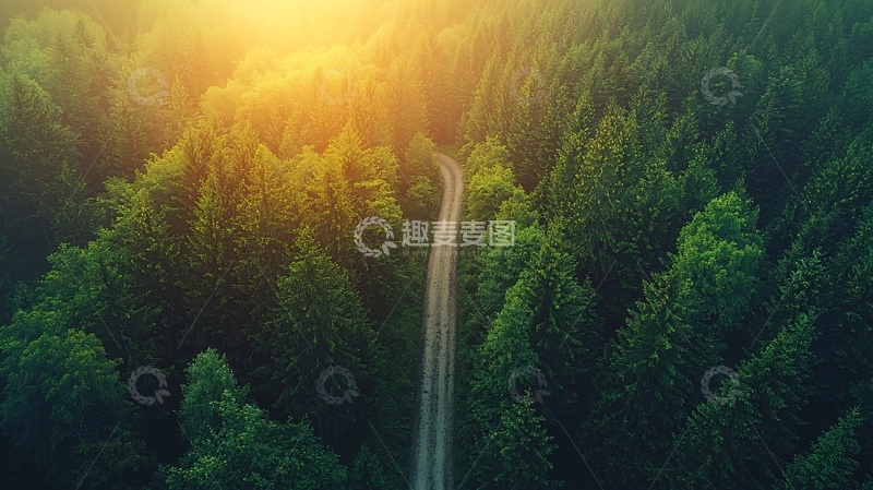 高清大图下载【趣麦麦图】森林里的道路鸟瞰