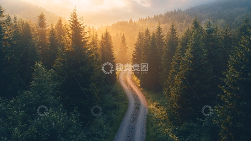高清大图下载【趣麦麦图】阳光穿透森林的小路