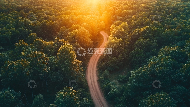 高清大图下载【趣麦麦图】森林中的道路