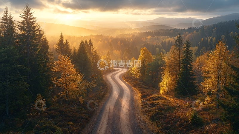 高清大图下载【趣麦麦图】森林中的弯曲道路