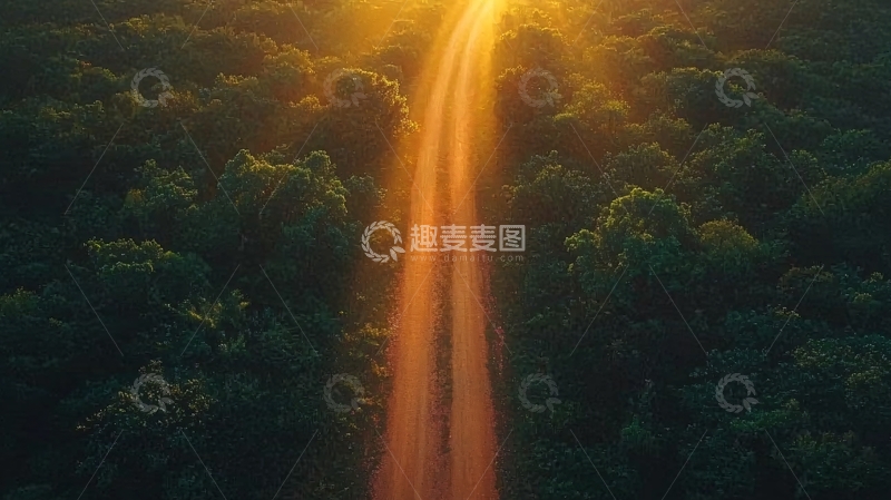 高清大图下载【趣麦麦图】森林中的金色道路
