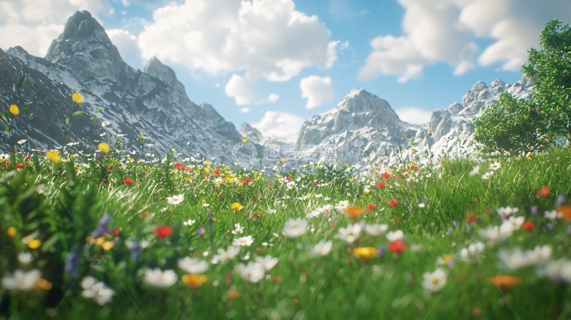 高清大图下载【趣麦麦图】高山草甸鲜花盛开