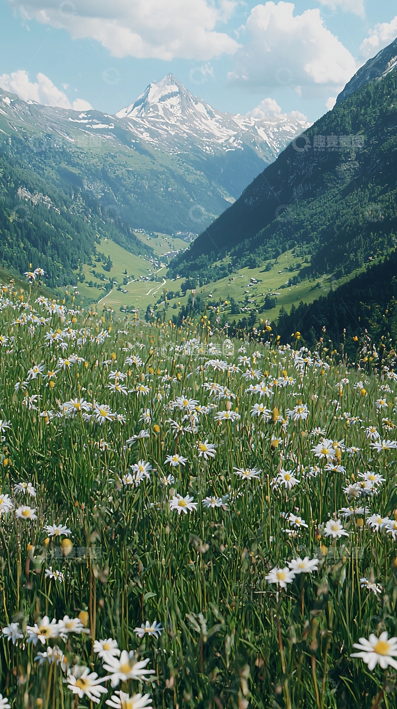 高清大图下载【趣麦麦图】阿尔卑斯山脉野花盛开