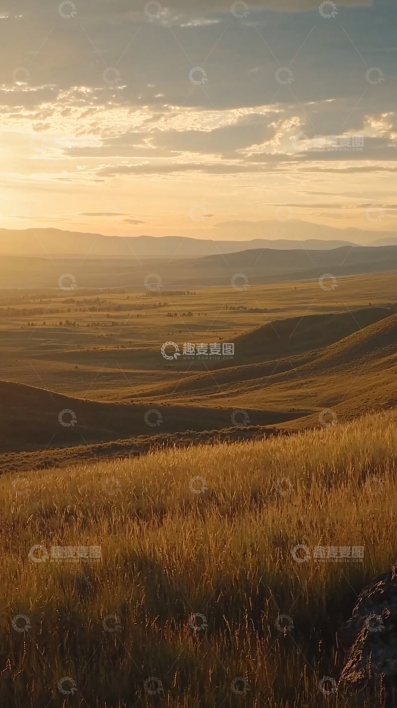 高清大图下载【趣麦麦图】日落草原金色麦田
