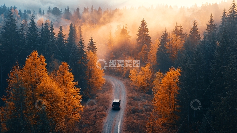 高清大图下载【趣麦麦图】秋日森林公路雾气车辆