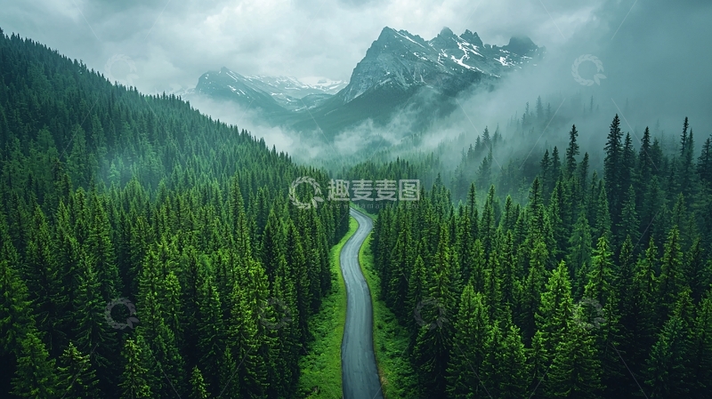 高清大图下载【趣麦麦图】翠绿森林中的蜿蜒小路