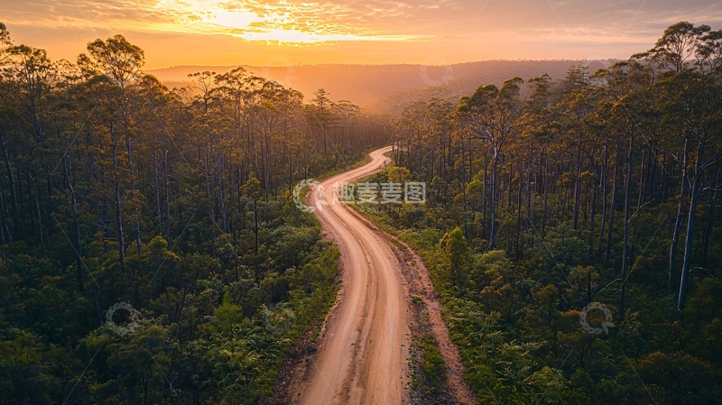 高清大图下载【趣麦麦图】蜿蜒的道路穿过森林