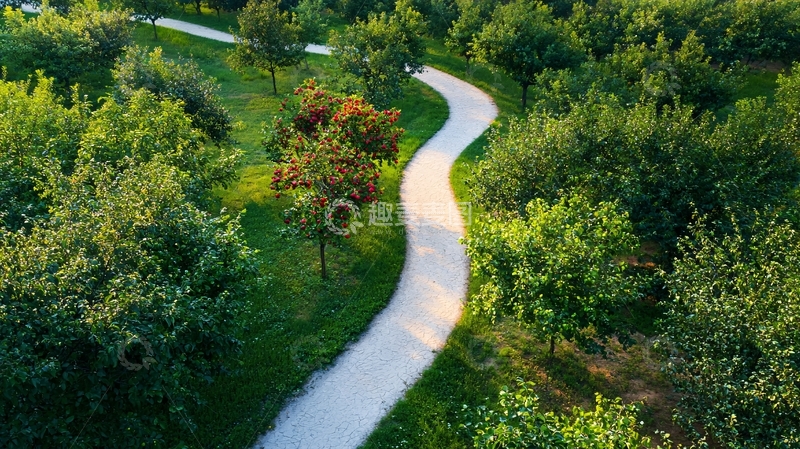 高清大图下载【趣麦麦图】蜿蜒小路绿树成荫