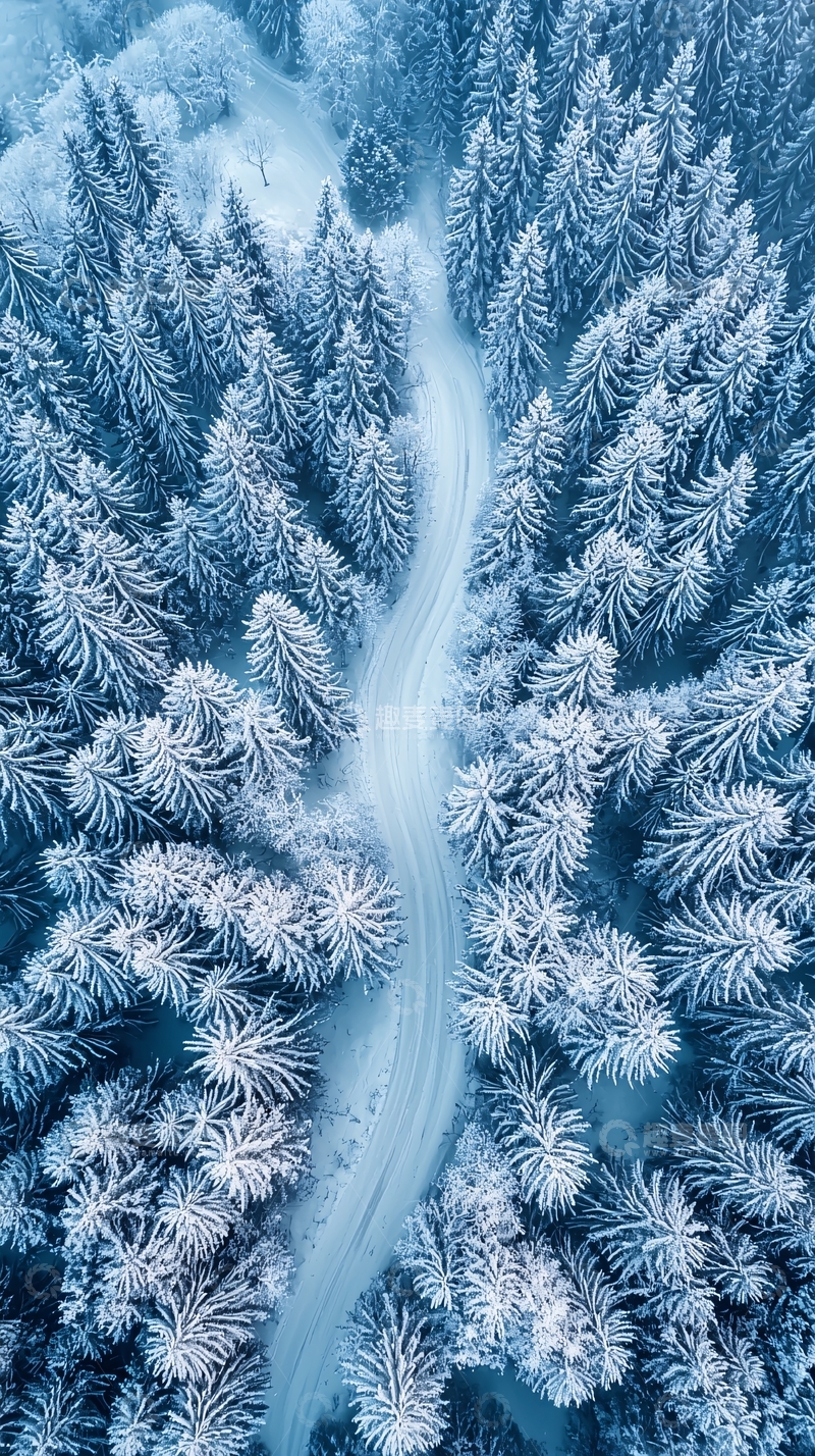 高清大图下载【趣麦麦图】雪覆盖的森林小路