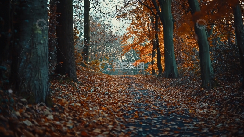 高清大图下载【趣麦麦图】秋日森林小路