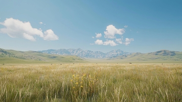 阳光下的广阔草原