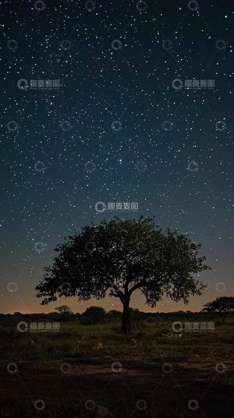 高清大图下载【趣麦麦图】星空下的孤独树