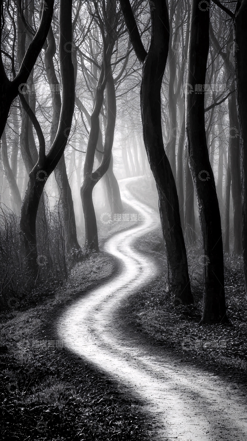 高清大图下载【趣麦麦图】黑白森林小路
