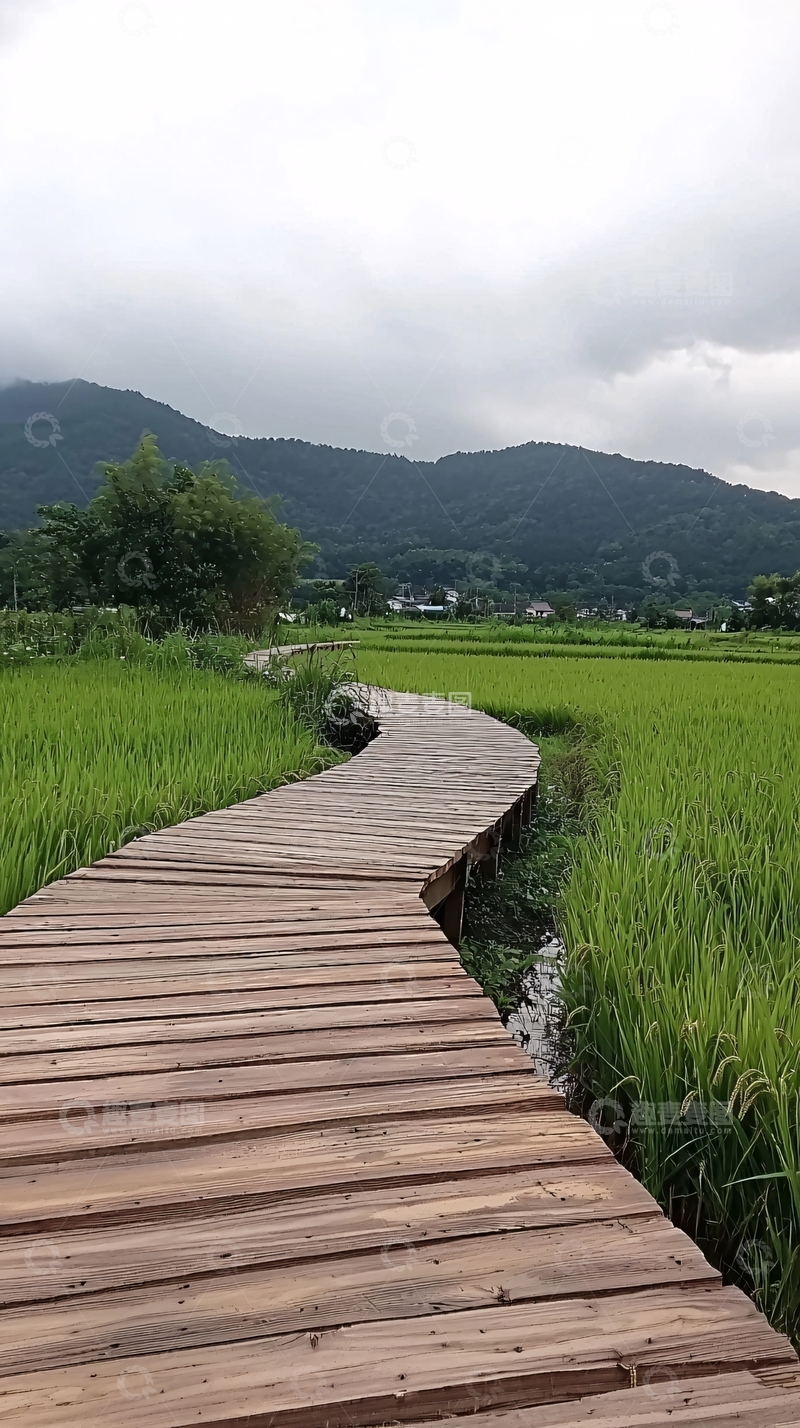 高清大图下载【趣麦麦图】田埂木栈道