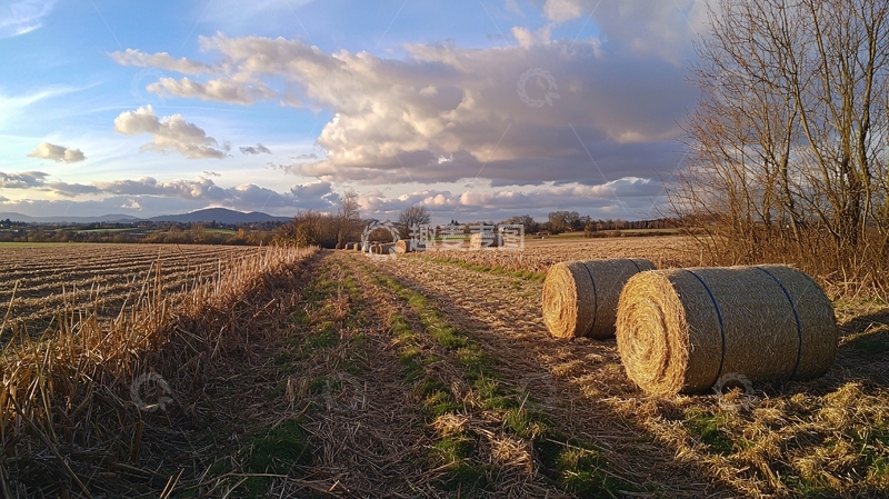 高清大图下载【趣麦麦图】秋日田野麦捆景色