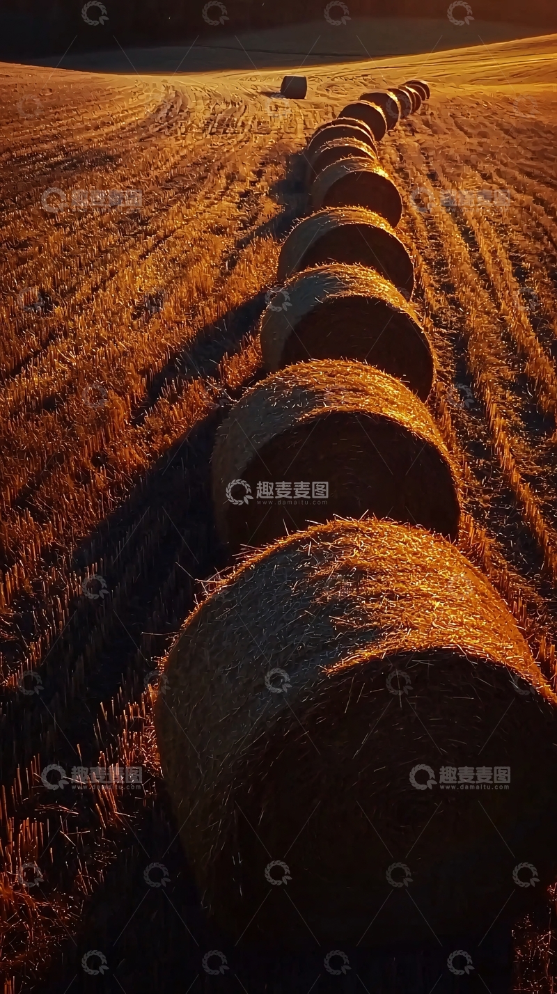 高清大图下载【趣麦麦图】金色麦田里的圆形稻草捆