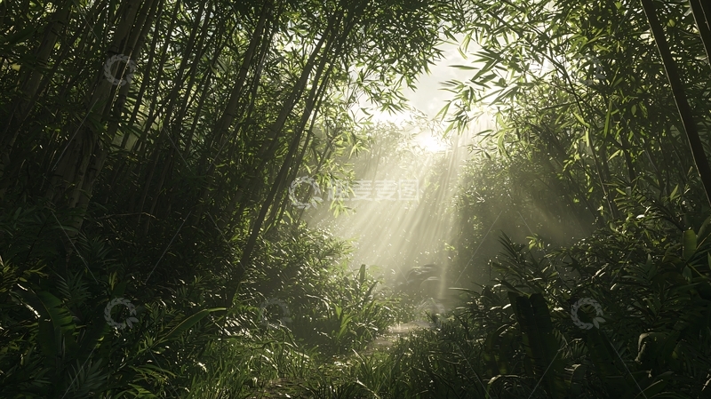 高清大图下载【趣麦麦图】阳光透过竹林