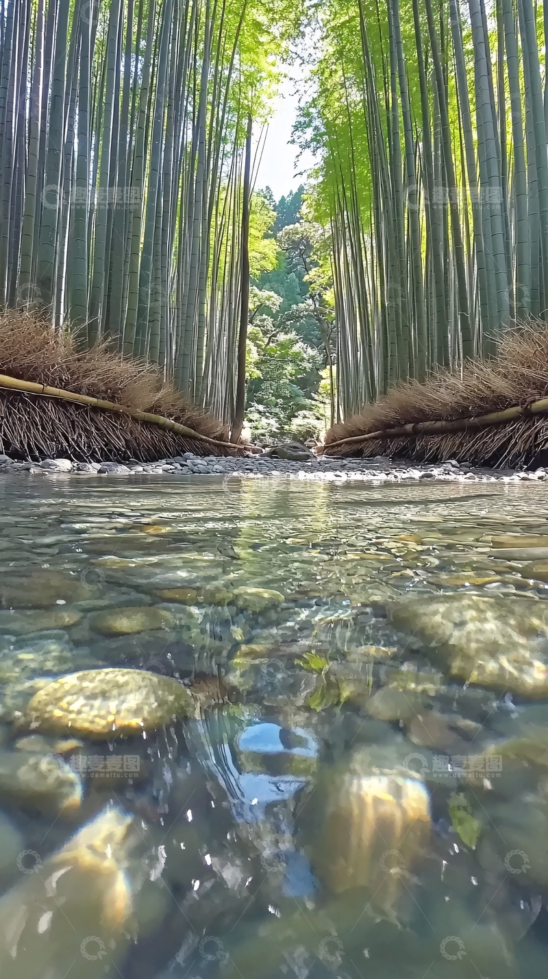 高清大图下载【趣麦麦图】清澈溪流竹林小径