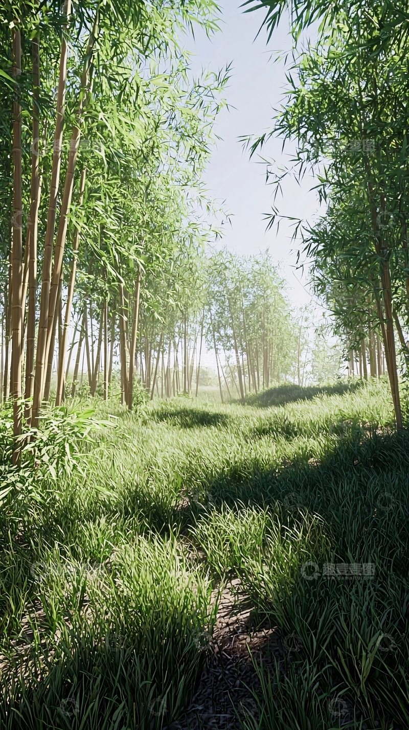 高清大图下载【趣麦麦图】阳光洒满竹林小路