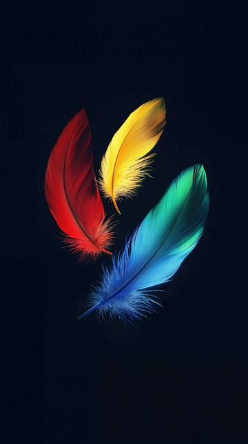 黑底彩色羽毛