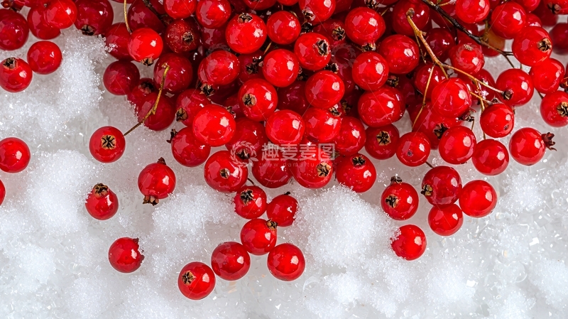 高清大图下载【趣麦麦图】红醋栗堆在雪地上