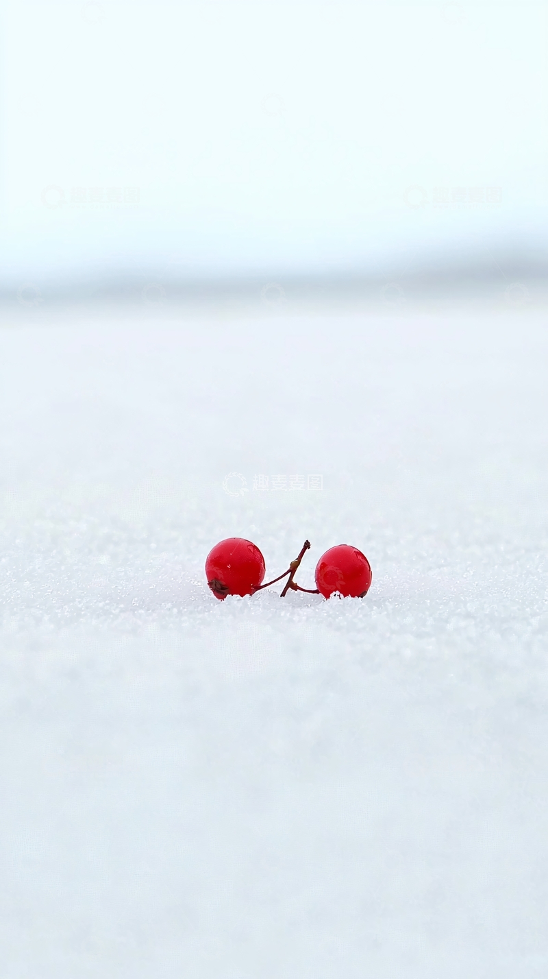 高清大图下载【趣麦麦图】雪地里的红果