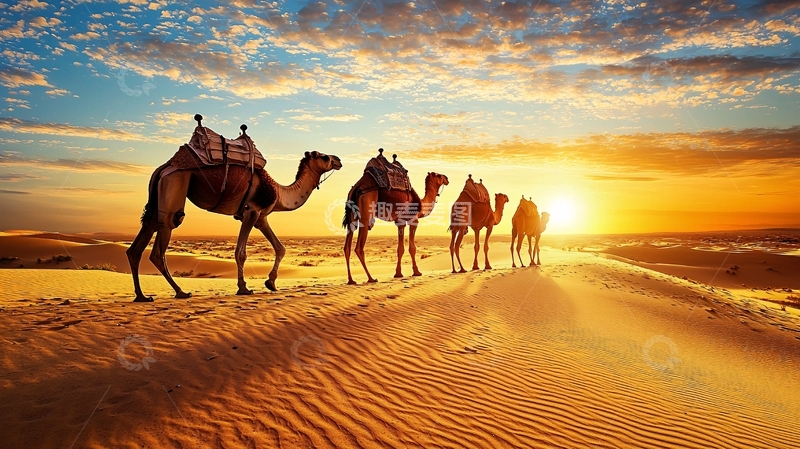 高清大图下载【趣麦麦图】沙漠驼队日落