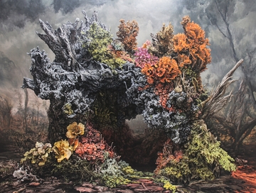 彩色植物覆盖的树桩