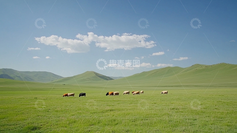 高清大图下载【趣麦麦图】草原